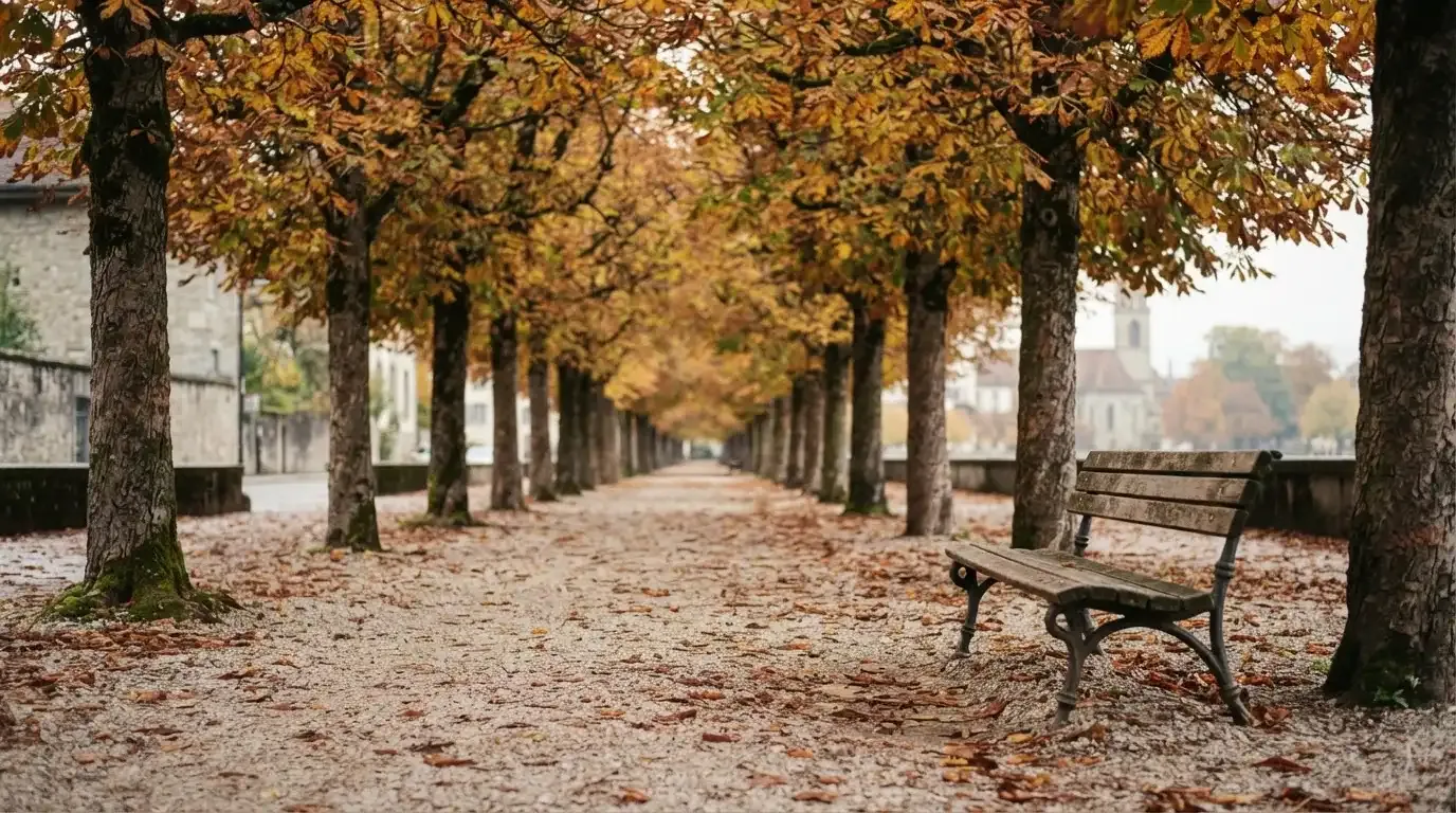 Eine Parkallee mit Kastanienbäumen und einer leeren Bank, Herbstlaub bedeckt den Kiesweg.