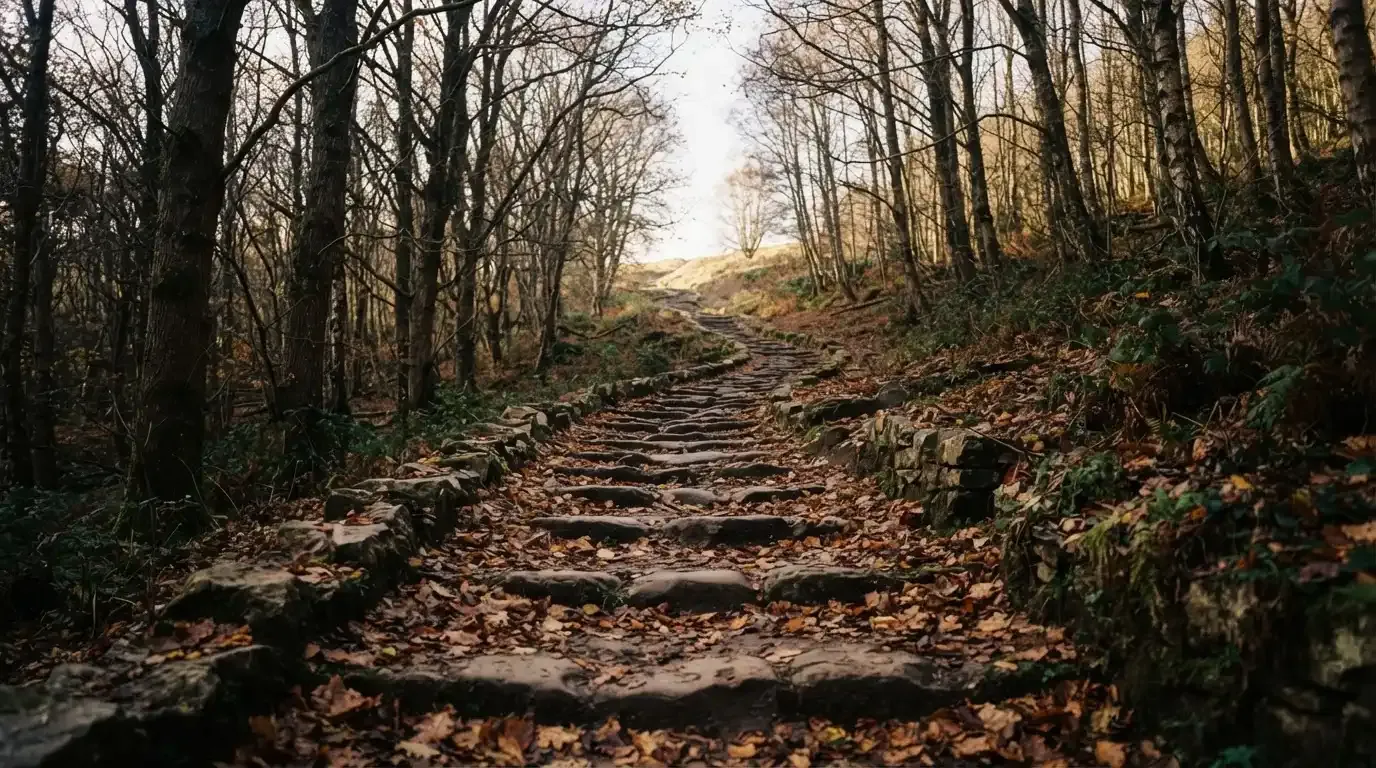 Eine Steintreppe führt einen Hügel hinauf, die Stufen sind mit Herbstlaub bedeckt und seitlich stehen kahle Bäume.