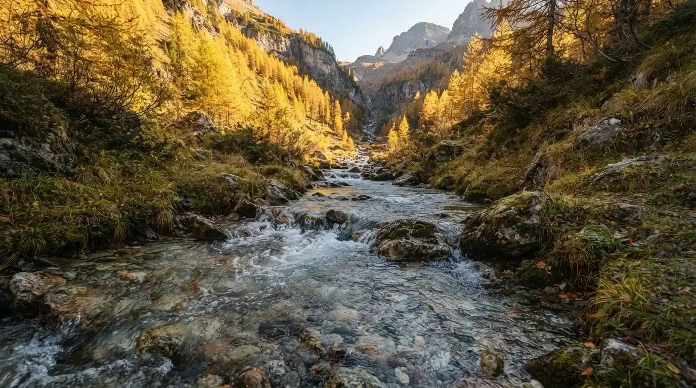 Ein Bergbach fliesst über glatte Steine durch ein enges Tal, an den Hängen leuchten Lärchen in gelbem Herbstlicht.