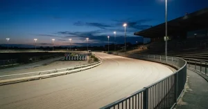 Hunderennen Wetten Schweiz 2026: Bewilligte Anbieter im Überblick